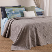 Alcis Trapuntino Singolo