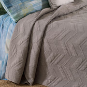 Alcis Trapuntino Singolo